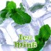 Ice Mint Vape Juice - Eliquid - 60ml by Vapor Geek (USA)